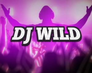 DJ Wild Slot