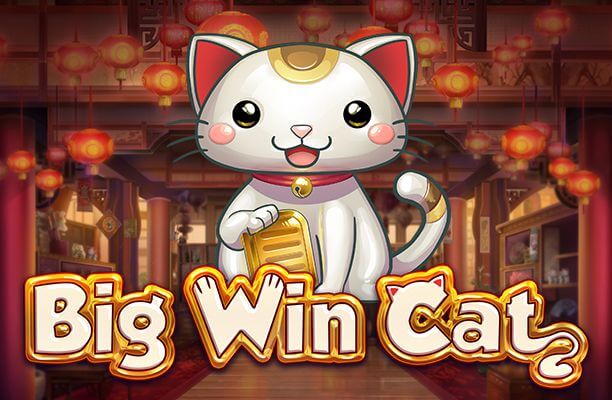 Big Win Cat slot