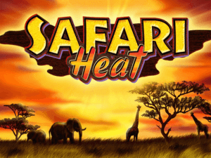 Safari Heat Slot Novoline