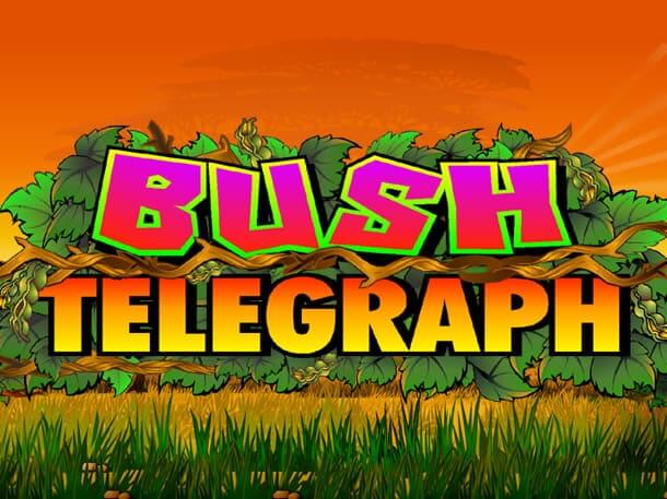 Bush Telegraph Slot