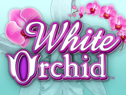 White Orchid Slot