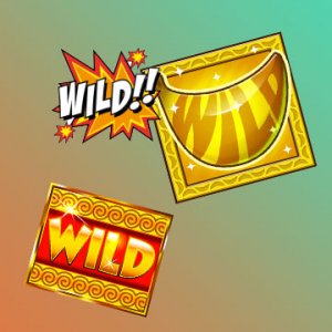 Wild Slots