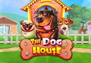 The Dog House Slot Game Review & Free Play Demo